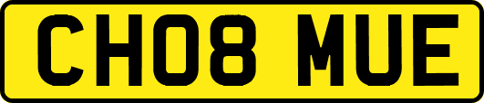CH08MUE