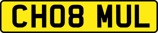 CH08MUL