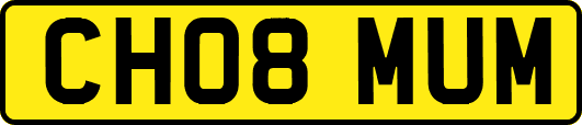 CH08MUM