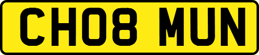 CH08MUN