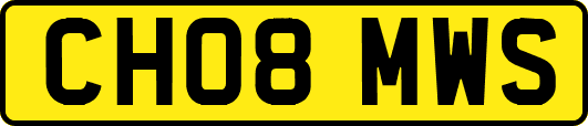 CH08MWS