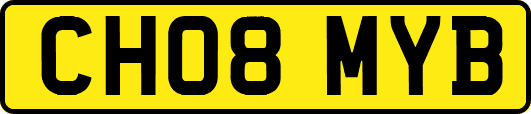 CH08MYB