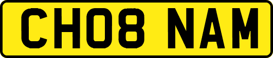 CH08NAM
