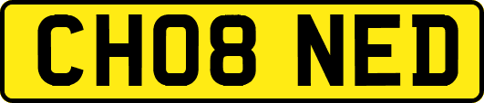 CH08NED