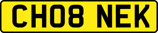 CH08NEK