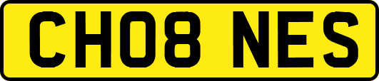 CH08NES