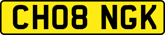 CH08NGK