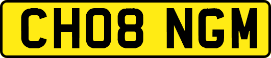 CH08NGM
