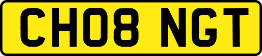 CH08NGT