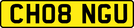 CH08NGU