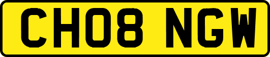 CH08NGW
