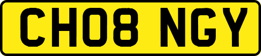CH08NGY