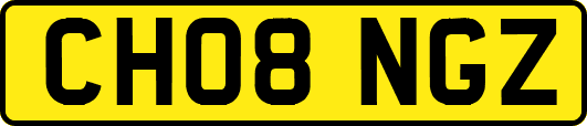 CH08NGZ