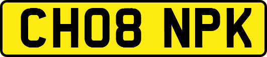 CH08NPK