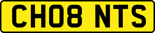CH08NTS