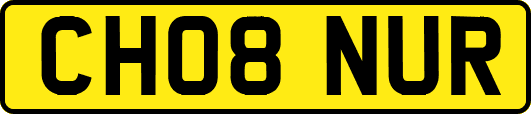 CH08NUR