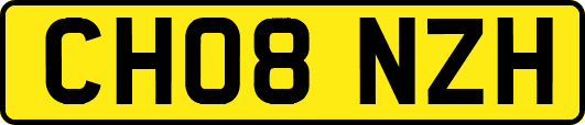 CH08NZH