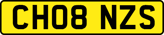 CH08NZS