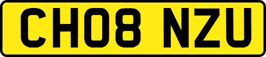 CH08NZU