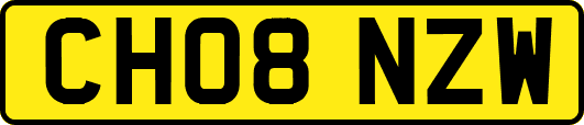 CH08NZW