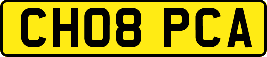 CH08PCA