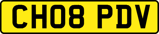 CH08PDV