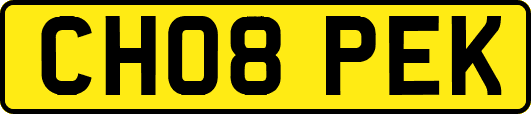 CH08PEK