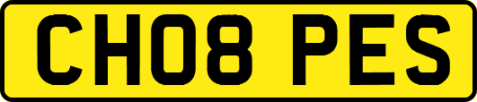 CH08PES
