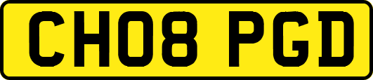 CH08PGD
