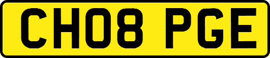 CH08PGE