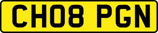CH08PGN