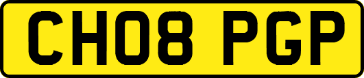 CH08PGP
