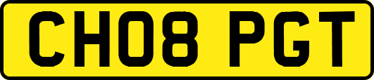 CH08PGT