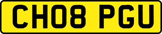 CH08PGU