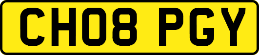 CH08PGY