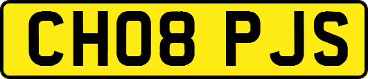 CH08PJS