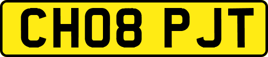 CH08PJT
