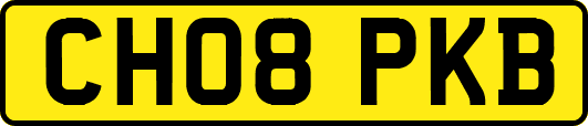 CH08PKB