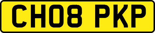 CH08PKP
