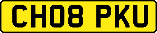 CH08PKU