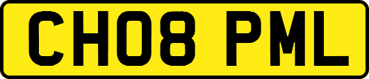 CH08PML