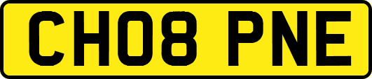 CH08PNE