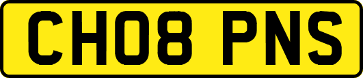 CH08PNS