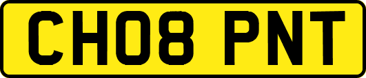 CH08PNT