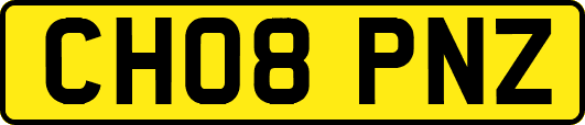 CH08PNZ