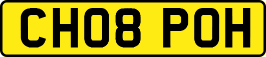 CH08POH