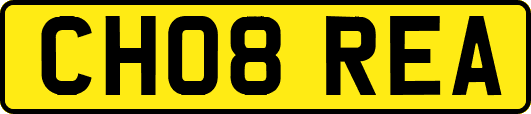 CH08REA