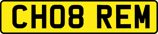 CH08REM