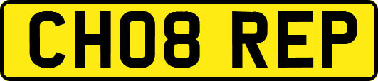 CH08REP