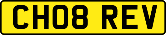 CH08REV
